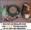 IMG_7708.jpeg