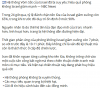 upload_2025-6-20_10-13-16.png