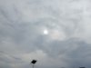 Resize_20250620_161919_9690.jpg