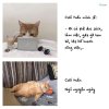 FB_IMG_1750533571952.jpg