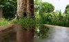 Lightroom_PY42AcFitD.jpg