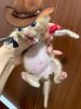 IMG_8921.jpeg