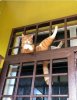 IMG_7783.jpeg
