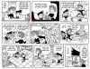 IMG_7789.jpeg