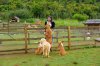 FB_IMG_1750750441999.jpg