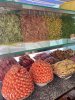 IMG_9056.jpeg