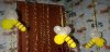 FB_IMG_1751615217032.jpg