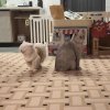 FB_IMG_1751635351687.jpg