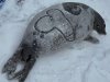 IMG_7956.jpeg