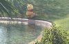 IMG_7993.jpeg