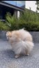 IMG_1360.jpeg