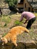 IMG_8087.jpeg