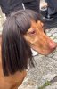 FB_IMG_1752399740599.jpg