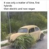 FB_IMG_1752469323912.jpg