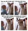 FB_IMG_1752663757765.jpg