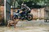 xedoisong_bo_anh_thanh_nien_chay_yamaha_exciter_trom_cho_3_xith.jpg