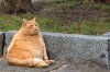 IMG_8166.jpeg