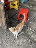 IMG_3502.jpeg