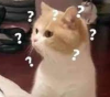 upload_2025-7-19_12-20-21.png