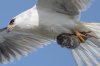 IMG_9542.jpeg