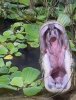 IMG_9579.jpeg