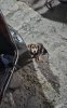 Messenger_creation_B6299D45-34ED-428E-BD77-9B948FA02F67.jpeg
