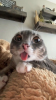 upload_2025-7-21_17-25-54.png