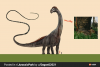 RDT_20250723_0006315357453188944602711.png