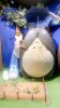 IMG_1034.jpeg