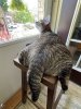 IMG_8312.jpeg