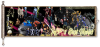 PSP Banner S.PNG