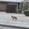 IMG_2570.jpeg