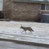 IMG_2571.jpeg