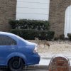 IMG_2569.jpeg
