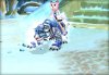 screenshot_14.jpg