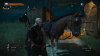 witcher3 2015-05-28 19-46-32-41.jpg