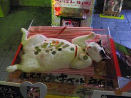 yugen