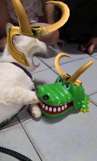 jake_vu
