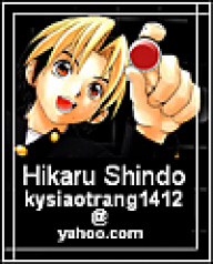 hikaru1411