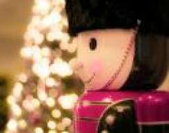 Cooro_809